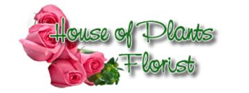 House of Plants Florist - Florist - Akron, OH - Hero Main