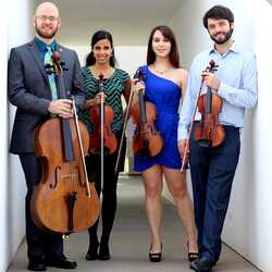River Oaks String Quartet, profile image