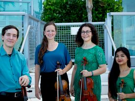 Biscayne String Quartet - String Quartet - Miami, FL - Hero Gallery 1