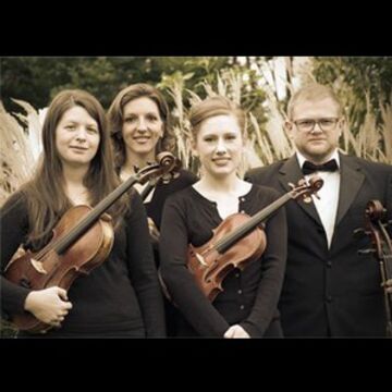 Bellwether Strings - String Quartet - Pittsburgh, PA - Hero Main