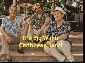 Big Wahu Caribbean Band - Caribbean Band - Bethlehem, PA - Hero Gallery 1