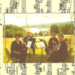 alliance string quartet, profile image