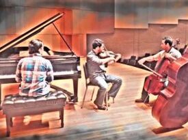 Cellist / Baton Rouge Latin American  Quartet - Classical Quartet - Baton Rouge, LA - Hero Gallery 1