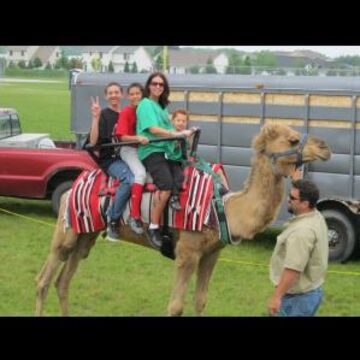 Nature's Creek Camel Rides / Exotic Zoo - Petting Zoo - Monroe, MI - Hero Main