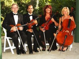 Strings For Your Heart - String Quartet - Fallbrook, CA - Hero Gallery 3