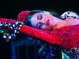Paloma Rios - Flamenco Dancer - Long Island City, NY - Hero Gallery 1
