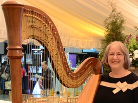 Sharon Avis, Harpist - Harpist - Sunbury, OH - Hero Gallery 3