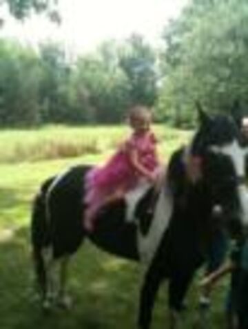Ponies For Parties - Animal For A Party - Strongsville, OH - Hero Main