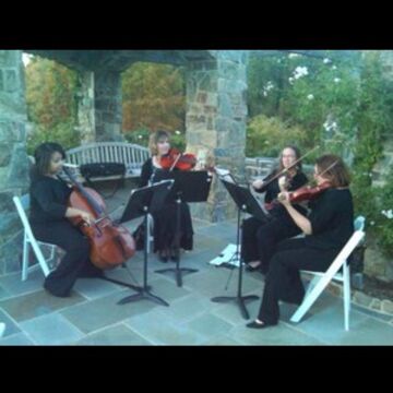 Kingswood String Quartet - String Quartet - Reston, VA - Hero Main