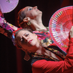 Flamencolía Dance Company, profile image