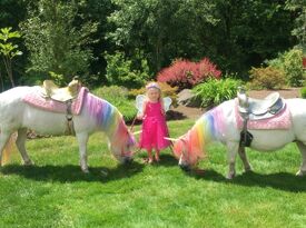 Dreamland Ponies - Pony Rides - Maple Valley, WA - Hero Gallery 2