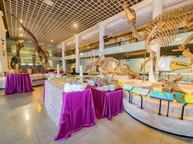 The Academy of Natural Sciences - Dinosaur Hall - Museum - Philadelphia, PA - Hero Gallery 2