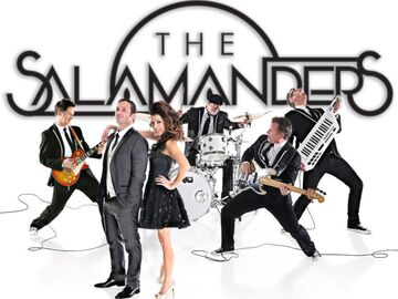 The Salamanders - Cover Band - Salt Lake City, UT - Hero Main