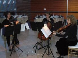 Vivace String Quartet - String Quartet - Cherry Hill, NJ - Hero Gallery 3