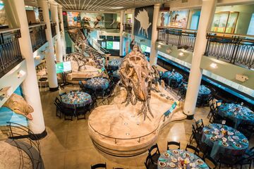 The Academy of Natural Sciences - Dinosaur Hall - Museum - Philadelphia, PA - Hero Main