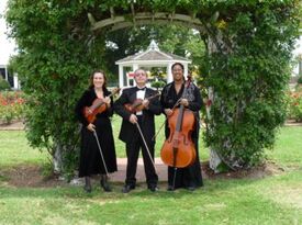 Arte Musicale String Ensemble - String Quartet - Williamsburg, VA - Hero Gallery 1