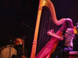 Anna Cate Music - Harpist - Palo Alto, CA - Hero Gallery 2