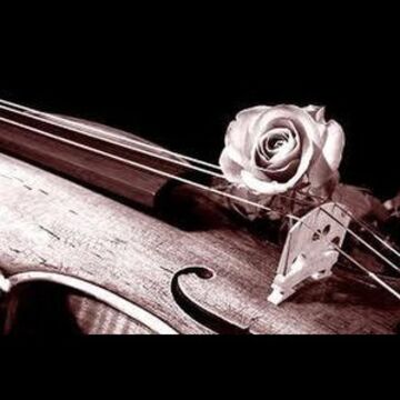 Amici Viola - Classical Duo - Salem, OR - Hero Main