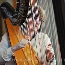 Beth Paré Sherwood, Harpist, profile image