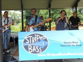 Striped Bass - Classic Rock Band - White Plains, NY - Hero Gallery 1