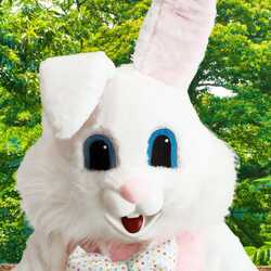 Easter Bunny Rentals By by Funtime Services, profile image