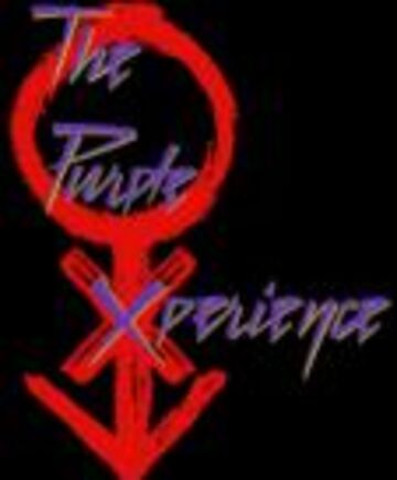 The Purple Experience - Prince Tribute Act - Chicago, IL - Hero Main