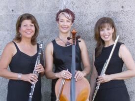 Del Lago Trio - String Quartet - Mission Viejo, CA - Hero Gallery 1