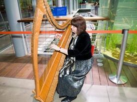 Shawna Spiteri - Harpist - San Bruno, CA - Hero Gallery 4