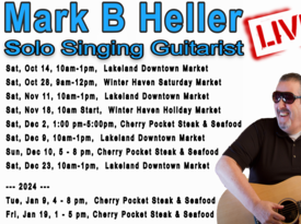 Mark B Heller - Singer Guitarist - Mulberry, FL - Hero Gallery 1