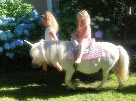 Dreamland Ponies - Pony Rides - Maple Valley, WA - Hero Gallery 1