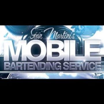Sean Martini's Bartending Service - Bartender - Merrillville, IN - Hero Main