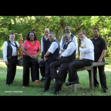 The King Beez - Dance Band - Memphis, TN - Hero Main