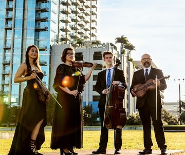 Mabry String Quartet - String Quartet - Tampa, FL - Hero Main