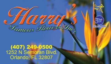 Harry's Famous Flowers - Florist - Orlando, FL - Hero Main
