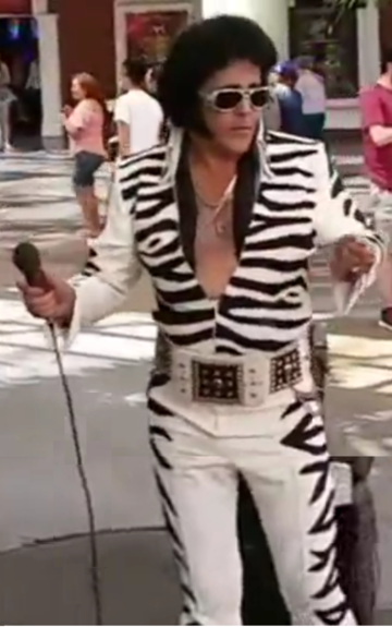 Counterfeit Elvis - Elvis Impersonator - Las Vegas, NV - Hero Main