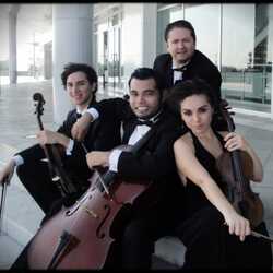 Viol Consort String Ensemble, profile image