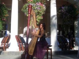 Larisa Smirnova Enchanting Harp - Harpist - Morgan Hill, CA - Hero Gallery 2