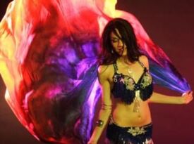 Amara Lana & Detroit Bellydance - Belly Dancer - Birmingham, MI - Hero Gallery 3