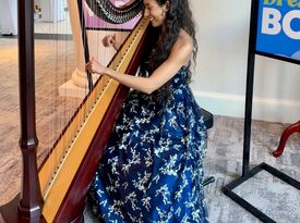 Liv Through Music - Harpist - Sarasota, FL - Hero Gallery 4