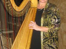 Julie Miller Money - Harpist - Greensboro, NC - Hero Gallery 1