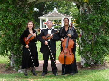 Arte Musicale String Ensemble - String Quartet - Williamsburg, VA - Hero Main