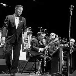 Ned Fasullo & The Fabulous Big Band Orchestra, profile image