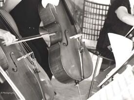 Cellidoscope String  Quartet! - String Quartet - Denver, CO - Hero Gallery 3