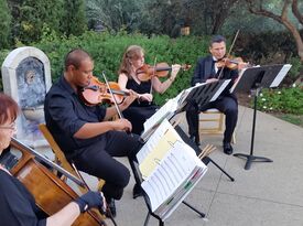 Vintage Strings - String Quartet - San Marcos, CA - Hero Gallery 1