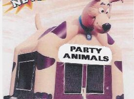 Inflatable Insanity - Party Inflatables - Akron, OH - Hero Gallery 2
