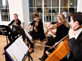 European Ensemble Strings - Duet, Trio, Quartet - String Quartet - Dallas, TX - Hero Gallery 4