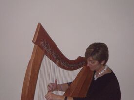 Meredith Kohn Bocek - Harpist - Vestal, NY - Hero Gallery 4