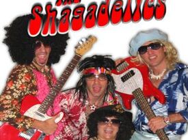 The Shagadelics - Disco Band - Chicago, IL - Hero Gallery 1