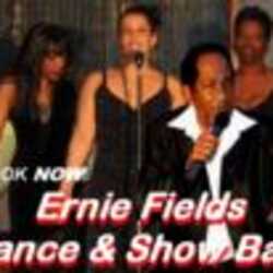 ERNIE FIELDS SHOW & DANCE BAND!, profile image
