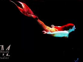 Mermaid Scarlet - Princess Party - Dallas, TX - Hero Gallery 4